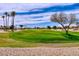 Expansive view of the lush green golf course with mature trees in a beautiful community at 17192 W Hermosa Dr, Surprise, AZ 85387