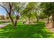 Lush green park with mature trees, picnic tables, and grills for community gatherings and outdoor recreation at 18563 W Fairway Dr, Surprise, AZ 85374