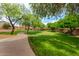 Inviting walking path surrounded by lush green grass and trees perfect for strolls at 18563 W Fairway Dr, Surprise, AZ 85374