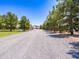 Long driveway lined with trees leading to the house and outbuildings at 25829 S Mandarin Dr, Queen Creek, AZ 85142