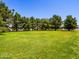 Spacious front yard with lush green grass and mature trees at 25829 S Mandarin Dr, Queen Creek, AZ 85142