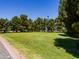 Lush, expansive green lawn with mature trees providing shade at 25829 S Mandarin Dr, Queen Creek, AZ 85142
