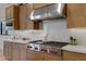Updated kitchen featuring a Wolf range, stainless vent hood and modern backsplash at 3929 E Bloomfield Pkwy, Gilbert, AZ 85296