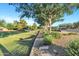 The lush green parkway has mature shade trees and native landscaping along the street at 4493 E Desert Sands Dr, Chandler, AZ 85249