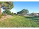The community park has lush greenery and mature trees, perfect for outdoor activities and relaxation at 4493 E Desert Sands Dr, Chandler, AZ 85249