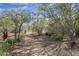 Desert landscape featuring native plants and a walking path, showcasing the natural beauty of the surroundings at 7486 E Bajada Rd, Scottsdale, AZ 85266