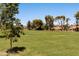 Lush green soccer field in a Gathering-friendly community with mature shade trees at 8943 N 80Th Pl, Scottsdale, AZ 85258