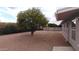 Backyard features an orange tree, stone path, gravel, and a block wall at 1033 S Florence Dr, Mesa, AZ 85208