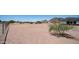 Spacious front yard landscaping featuring mature trees, desert plants, and stunning mountain views at 10910 N Thunderbird Rd, Maricopa, AZ 85139