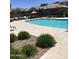 Relaxing community pool with sun loungers and mature landscaping, creating a resort-style living experience at 1255 N Arizona Ave # 1216, Chandler, AZ 85225
