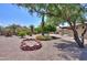 Low maintenance backyard with desert landscaping, mature trees, and a charming brick firepit at 135 S Verde Ln, Casa Grande, AZ 85194