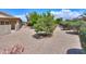 Desert landscaped backyard, showcasing a mature fruit tree and well-maintained shrubbery at 135 S Verde Ln, Casa Grande, AZ 85194