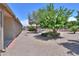 Low maintenance backyard featuring mature trees, desert landscaping, and privacy at 135 S Verde Ln, Casa Grande, AZ 85194