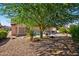 Relaxing backyard featuring desert landscaping, mature shade tree, and outdoor seating area, perfect for enjoying Arizona evenings at 20394 N Coronado Way, Surprise, AZ 85374