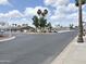 Well maintained community street view featuring palm trees, attractive landscaping, and convenient parking at 272 S Cinnabar Dr, Apache Junction, AZ 85119