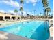A large community pool featuring plenty of lounge seating and mature palm trees against a bright blue sky at 272 S Cinnabar Dr, Apache Junction, AZ 85119