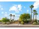 Charming single-story home with a well-manicured yard and mature palm trees at 3146 W Paradise Dr, Phoenix, AZ 85029