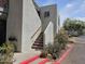 Condo exterior featuring a staircase with concrete steps, gray siding, and lush landscaping in front at 3420 W Danbury Dr # C218, Phoenix, AZ 85053