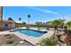 Backyard featuring large pool, palm trees and desert landscaping at 6457 E Encanto St, Mesa, AZ 85205
