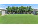 Green backyard with artificial grass and beautiful landscaping with lush green trees, creating a serene view at 6743 N 9Th Dr, Phoenix, AZ 85013