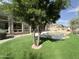 Expansive backyard with synthetic grass, a pool with a rock waterfall, and covered patio at 6931 E Teton Cir, Mesa, AZ 85207