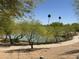 Picturesque view of the lake surrounded by trees, showcasing nature near the building at 7601 E Indian Bend Rd # 1049, Scottsdale, AZ 85250