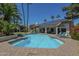 Enjoy this large backyard pool surrounded by lounge chairs, palm trees, and lush landscaping at 12537 N 76Th Pl, Scottsdale, AZ 85260