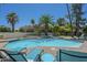 Backyard pool with palm trees and lounge chairs for ultimate relaxation at 12537 N 76Th Pl, Scottsdale, AZ 85260