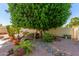 Landscaped backyard with shade tree, gravel, rocks, and potted plants at 14828 N Skokie Ct, Phoenix, AZ 85022