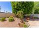 Landscaped backyard featuring mature trees, gravel ground cover and potted plants at 14828 N Skokie Ct, Phoenix, AZ 85022