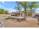 Inviting backyard with gravel landscaping, covered patio, and mature tree providing shade at 15564 W Mescal St, Surprise, AZ 85379
