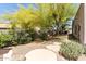 Lush backyard featuring mature trees, flowering plants, and a peaceful seating area at 30434 N Palo Brea Dr, Scottsdale, AZ 85266