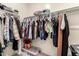 Walk-in closet with ample hanging space, shelving, and organized storage solutions at 36203 N Urika Dr, San Tan Valley, AZ 85140