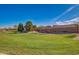 Large green space surrounded by lush landscaping provides an open area for community use and recreation at 36203 N Urika Dr, San Tan Valley, AZ 85140