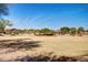 Expansive community greenspace offering lush surroundings and scenic views at 36203 N Urika Dr, San Tan Valley, AZ 85140