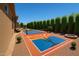 This backyard features a custom pickleball court with unique desert-themed graphics and landscaping at 42037 N Bradon Way, Phoenix, AZ 85086