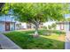 The complex features meticulously maintained common spaces with mature shade trees and green lawns at 4206 N 38Th St # 1, Phoenix, AZ 85018
