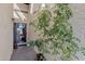 Cozy patio area with sliding glass door and potted plants, creating a private outdoor space at 4549 W Mclellan Rd, Glendale, AZ 85301