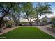 Lush backyard featuring grass and mature landscaping, creating a serene and private outdoor space at 6765 E Duane Ln, Scottsdale, AZ 85266
