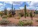 Lush desert landscaping surrounds this charming southwestern home at 9938 E Little Nugget Way, Gold Canyon, AZ 85118