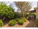Lush backyard garden featuring mature trees, hedges, a brick pathway, and well-maintained landscaping at 10154 E Bergeron Ave, Mesa, AZ 85212