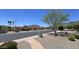 Street view of home with desert landscaping, palm trees and mountain views at 2426 E Turquoise Dr, Phoenix, AZ 85028