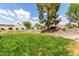 A luscious green grass area with low-maintenance landscaping at 5445 E Mckellips Rd # 48, Mesa, AZ 85215