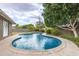 Inviting backyard pool featuring a unique shape, surrounded by lush landscaping and a concrete border at 5926 S Newberry Rd, Tempe, AZ 85283