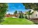 Large grassy backyard featuring a covered patio and mature trees at 6601 W Montego Ln, Glendale, AZ 85306