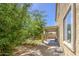 Backyard with covered patio, lush greenery, and well-maintained lawn at 6811 W Darrel Rd, Laveen, AZ 85339