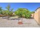 Spacious backyard featuring a tree and well maintained gravel at 6811 W Darrel Rd, Laveen, AZ 85339