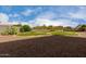 Large backyard area with decorative rock and green grass, plenty of room for activities at 9825 E Gary St, Mesa, AZ 85207
