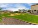 Large backyard and green grass space with lush plants, plenty of room for activities at 9825 E Gary St, Mesa, AZ 85207