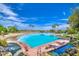 Expansive community pool featuring a beach entry, palm trees, and inviting lounge areas for relaxation and enjoyment at 1010 N Osprey Ct, Gilbert, AZ 85234